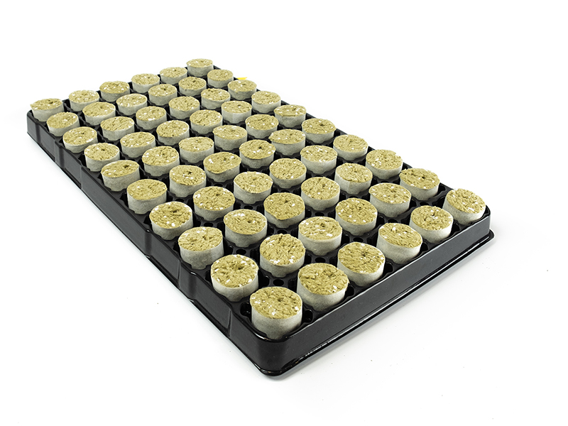 Tray-84st: PAPER PLUG TRAY 84